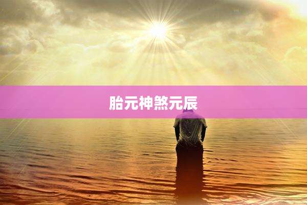 胎元神煞元辰