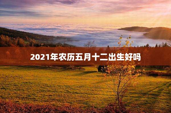 2021年农历五月十二出生好吗