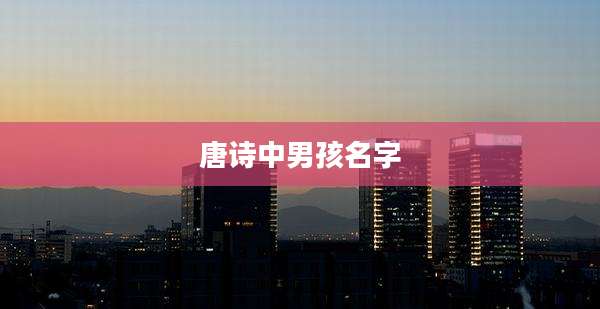 唐诗中男孩名字