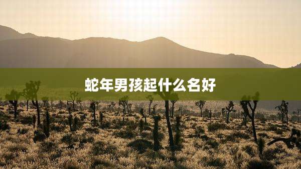 蛇年男孩起什么名好