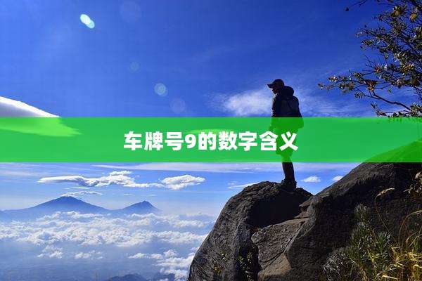 车牌号9的数字含义