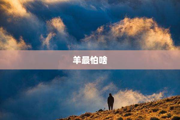羊最怕啥