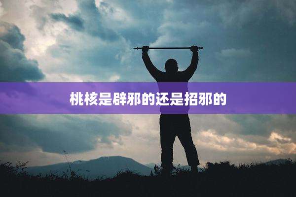 桃核是辟邪的还是招邪的