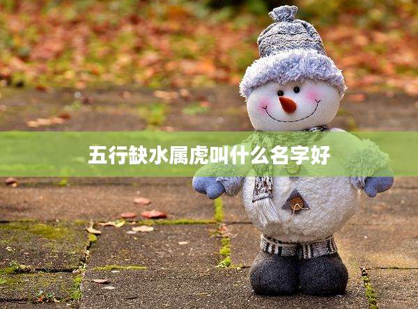 五行缺水属虎叫什么名字好