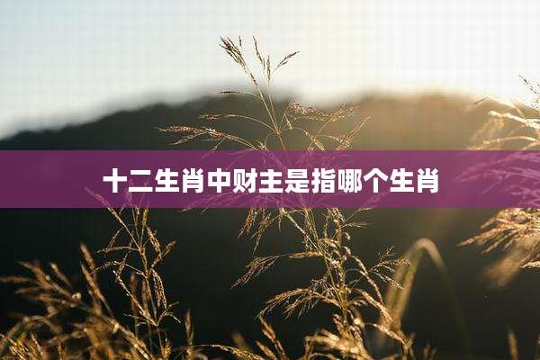 十二生肖中财主是指哪个生肖