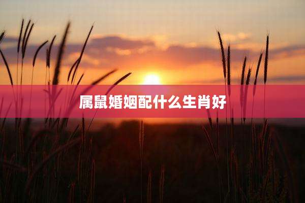 属鼠婚姻配什么生肖好