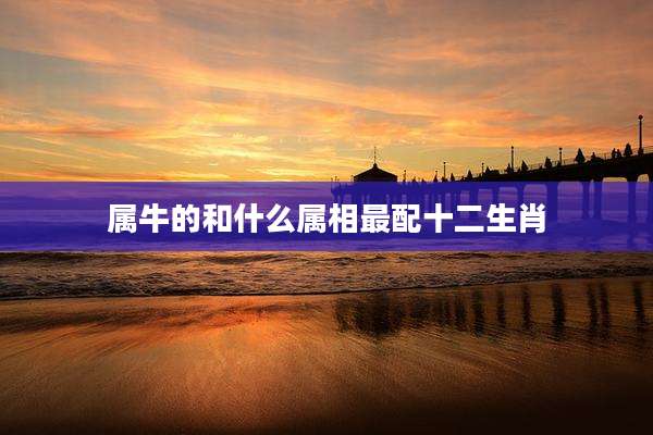 属牛的和什么属相最配十二生肖