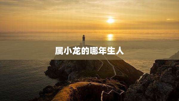 属小龙的哪年生人