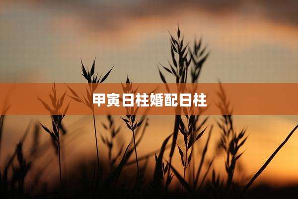 甲寅日柱婚配日柱
