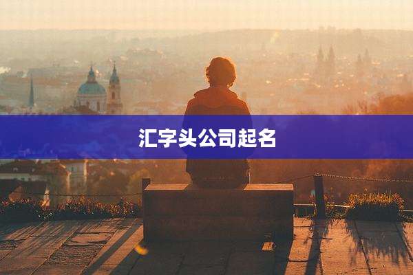 汇字头公司起名