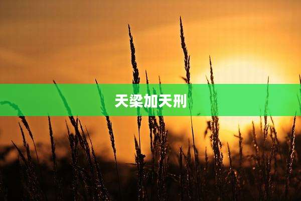 天梁加天刑