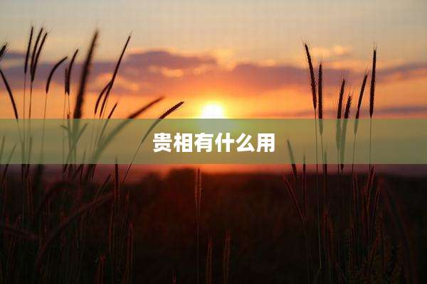 贵相有什么用