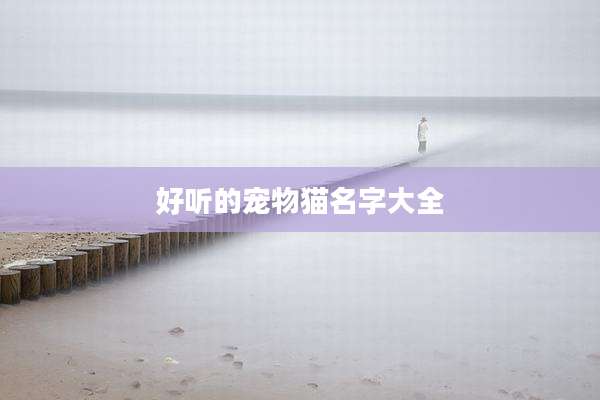 好听的宠物猫名字大全