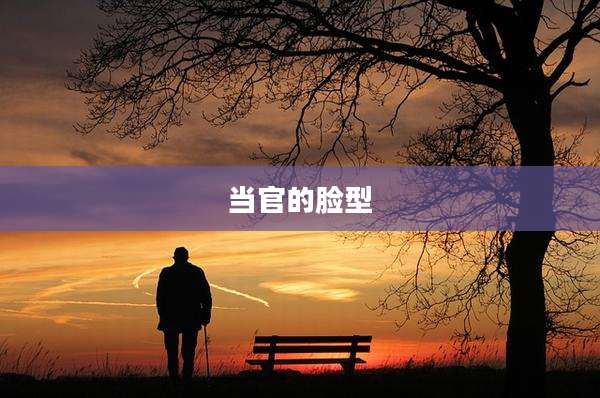 当官的脸型
