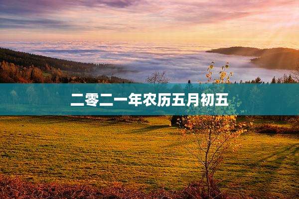 二零二一年农历五月初五