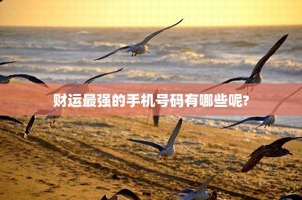 财运最强的手机号码有哪些呢?