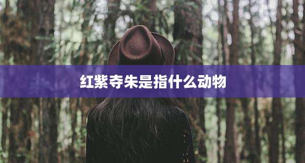 红紫夺朱是指什么动物