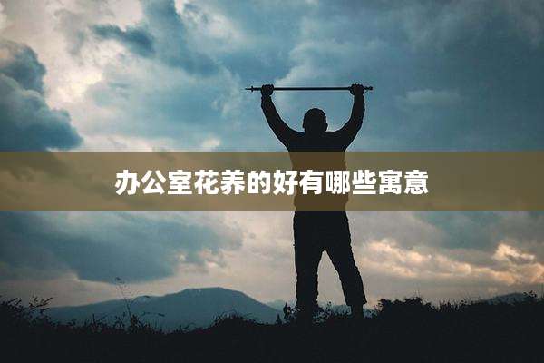 办公室花养的好有哪些寓意