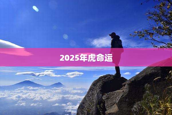 2025年虎命运