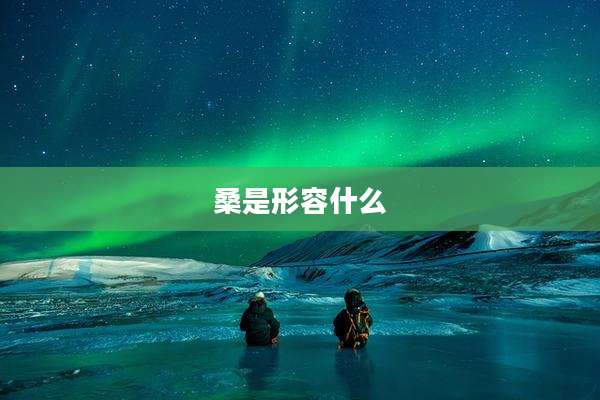 桑是形容什么
