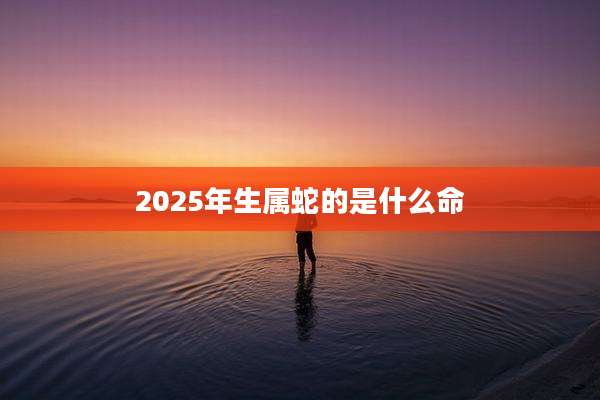 2025年生属蛇的是什么命
