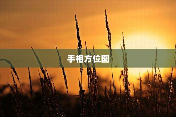 手相方位图