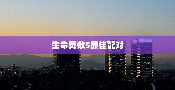生命灵数5最佳配对