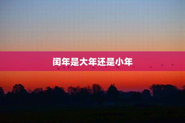 闰年是大年还是小年