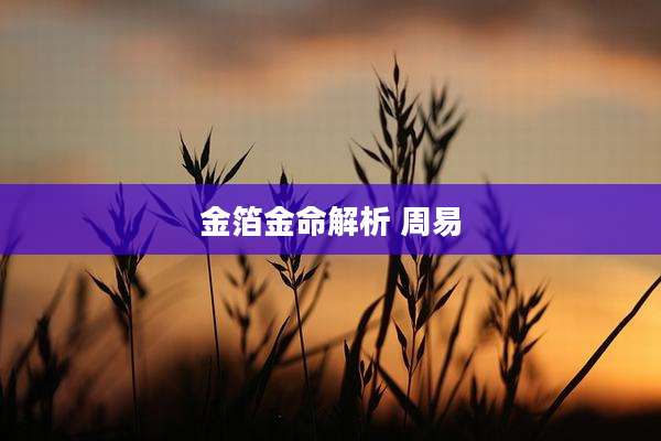 金箔金命解析 周易