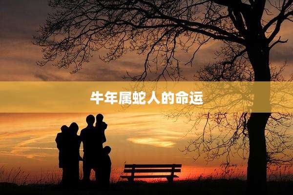 牛年属蛇人的命运