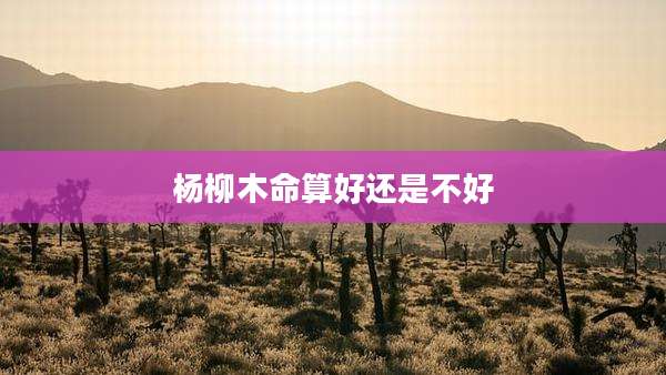 杨柳木命算好还是不好