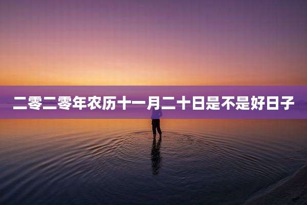 二零二零年农历十一月二十日是不是好日子