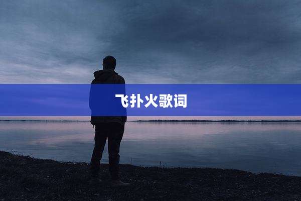 飞扑火歌词