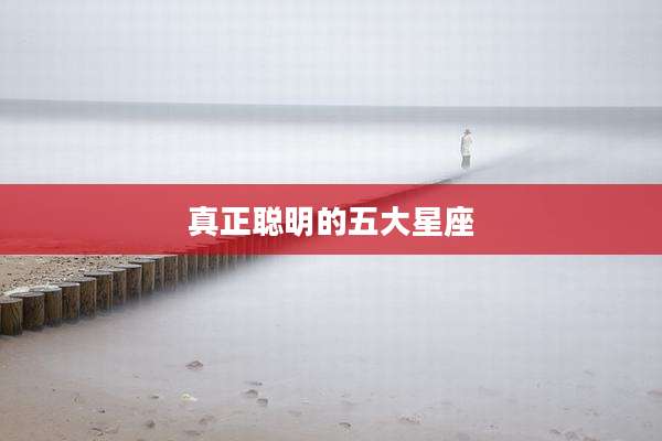 真正聪明的五大星座