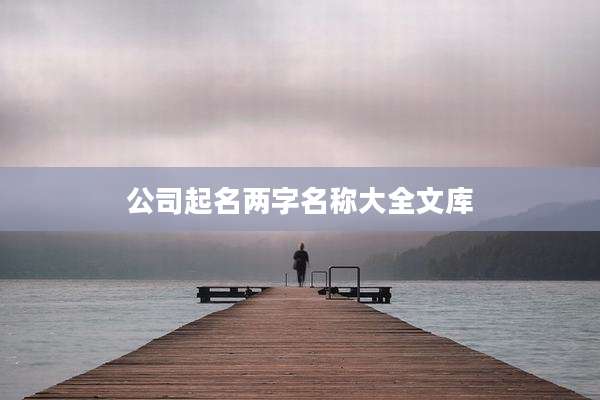 公司起名两字名称大全文库
