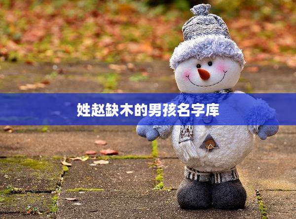 姓赵缺木的男孩名字库