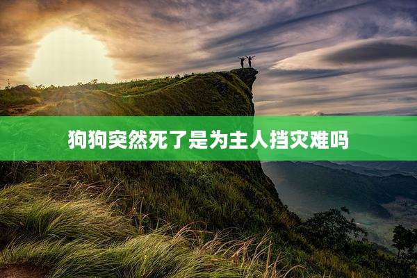 狗狗突然死了是为主人挡灾难吗