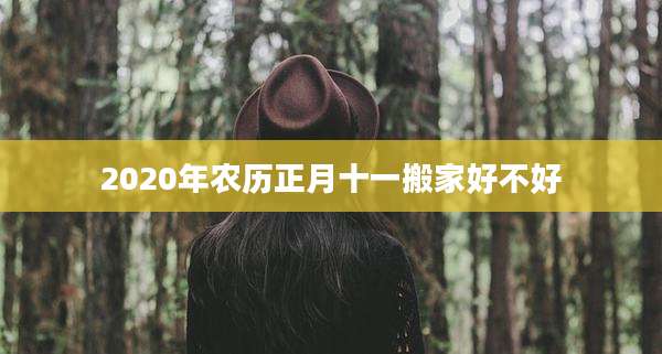 2020年农历正月十一搬家好不好