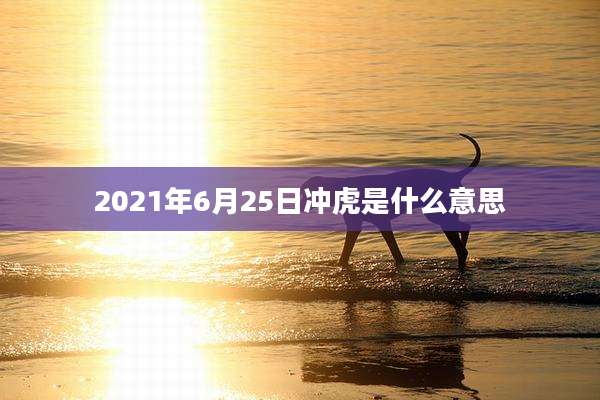 2021年6月25日冲虎是什么意思