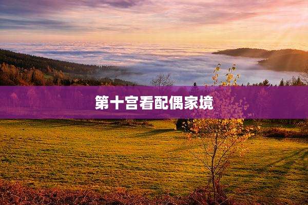 第十宫看配偶家境