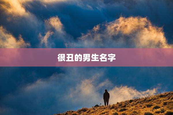 很丑的男生名字