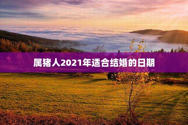 属猪人2021年适合结婚的日期