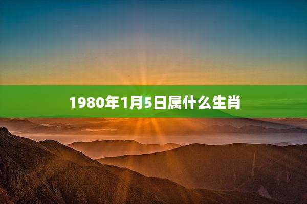 1980年1月5日属什么生肖