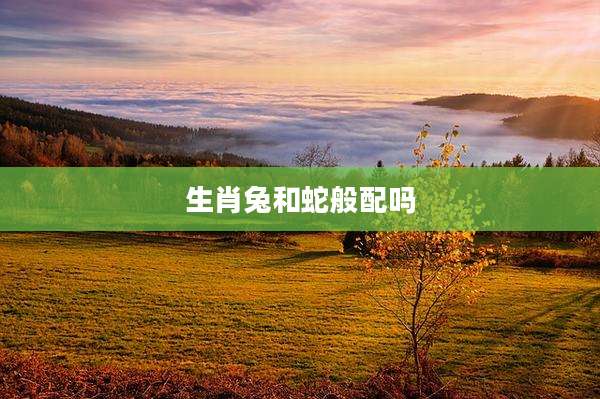 生肖兔和蛇般配吗