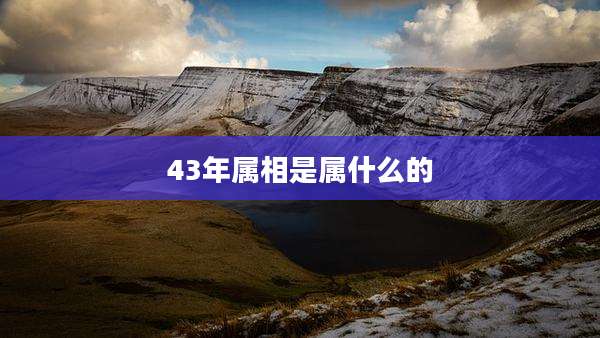 43年属相是属什么的