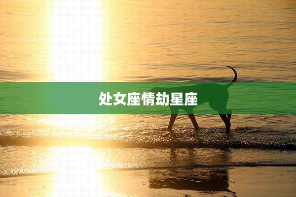 处女座情劫星座