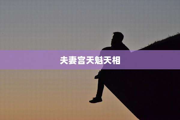 夫妻宫天魁天相