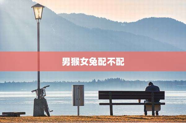 男猴女兔配不配