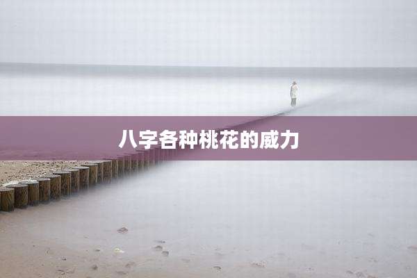 八字各种桃花的威力