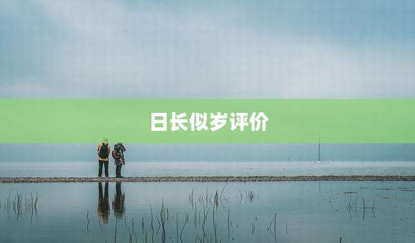 日长似岁评价